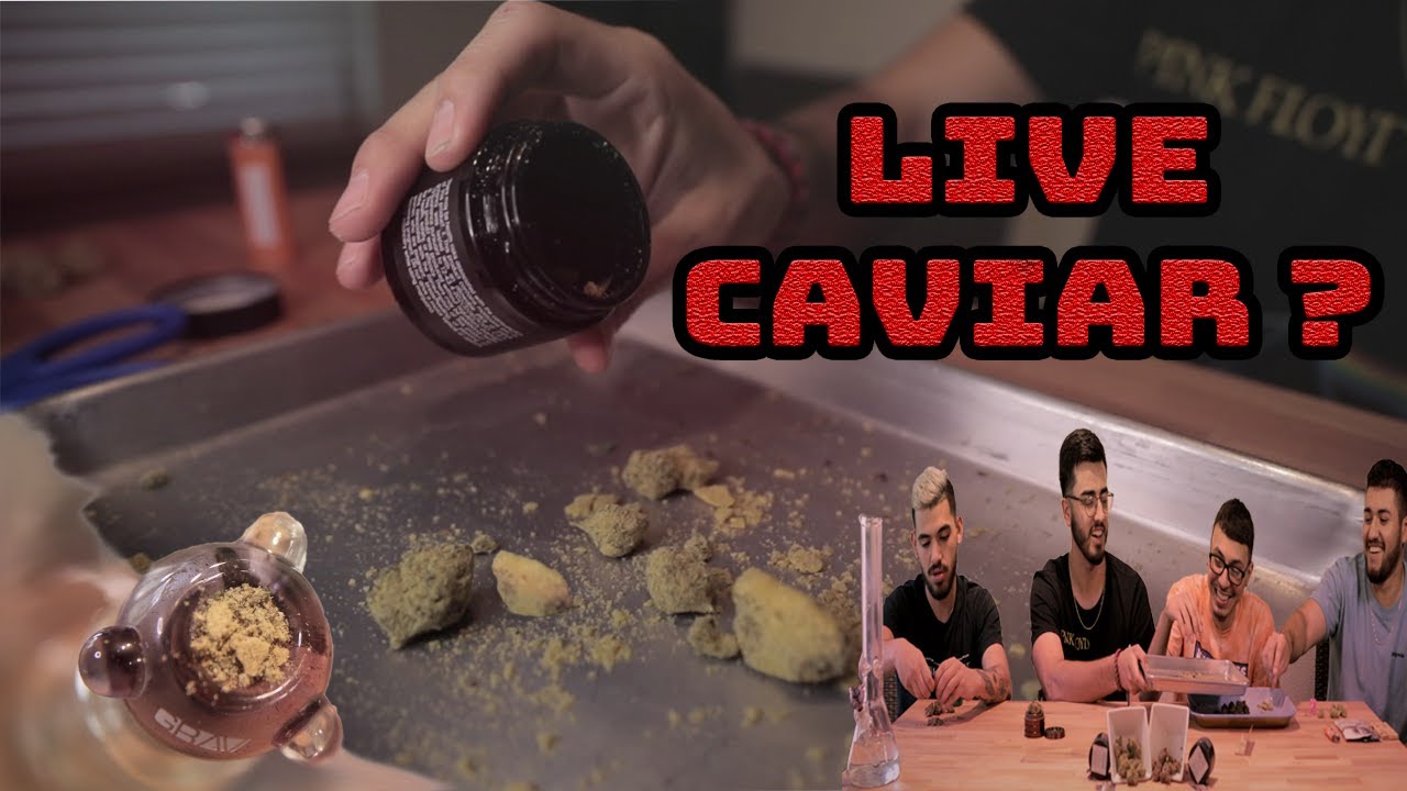 Live Caviar breakdown. (NOT MOON ROCKS)