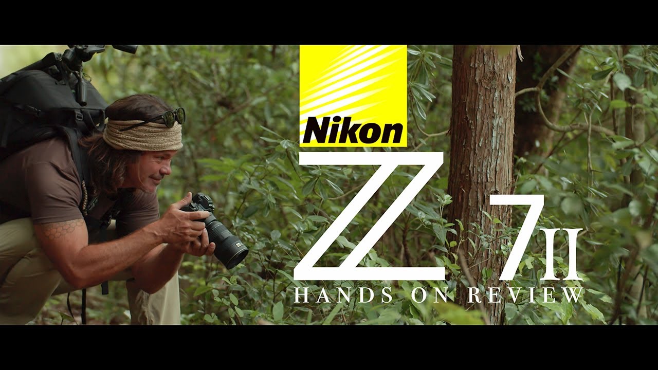 Практический обзор Nikon Z 7ii: он потрясающий!