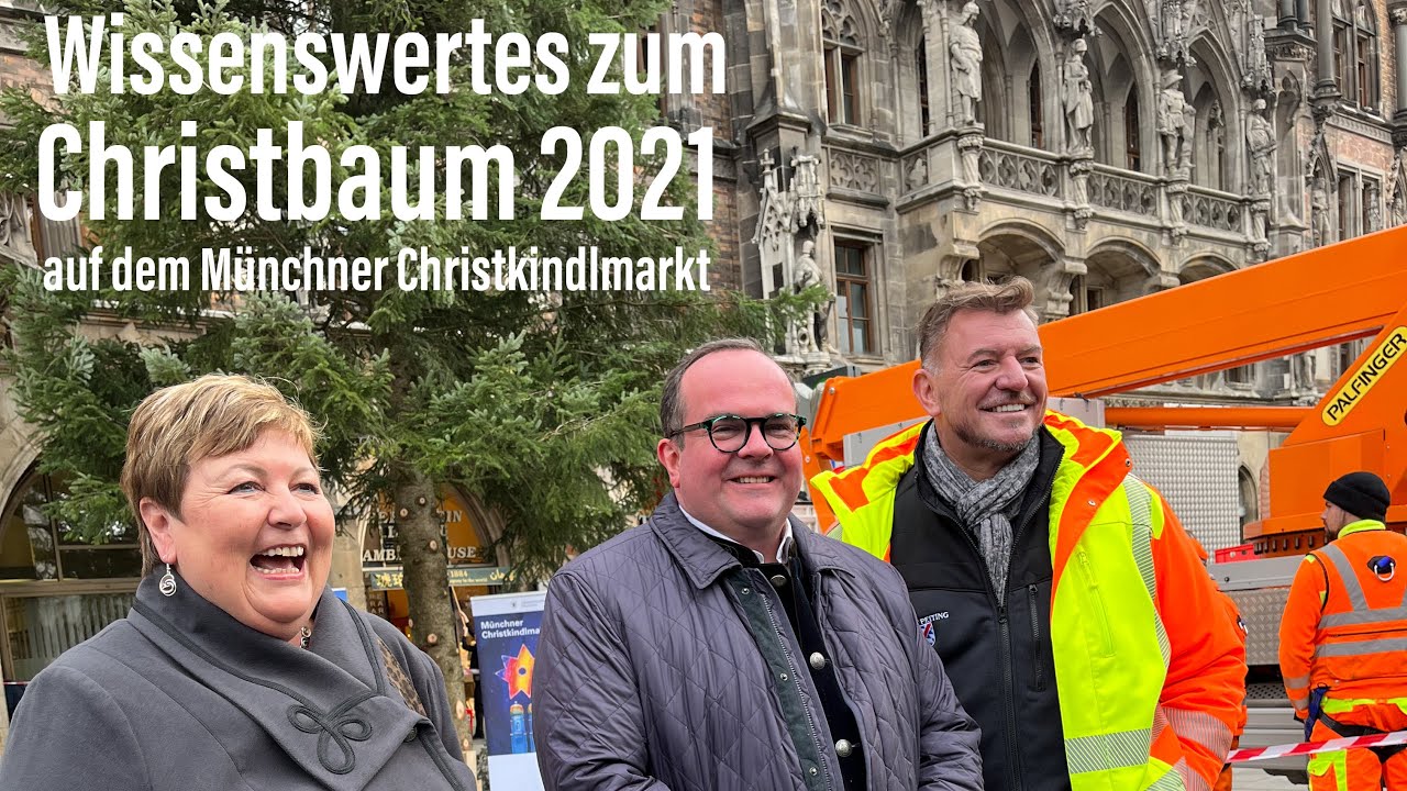 Wissenswertes zum Christbaum 2021 für den Münchner Marienplatz aus Peiting @Lkrs. Weilheim-Schongau