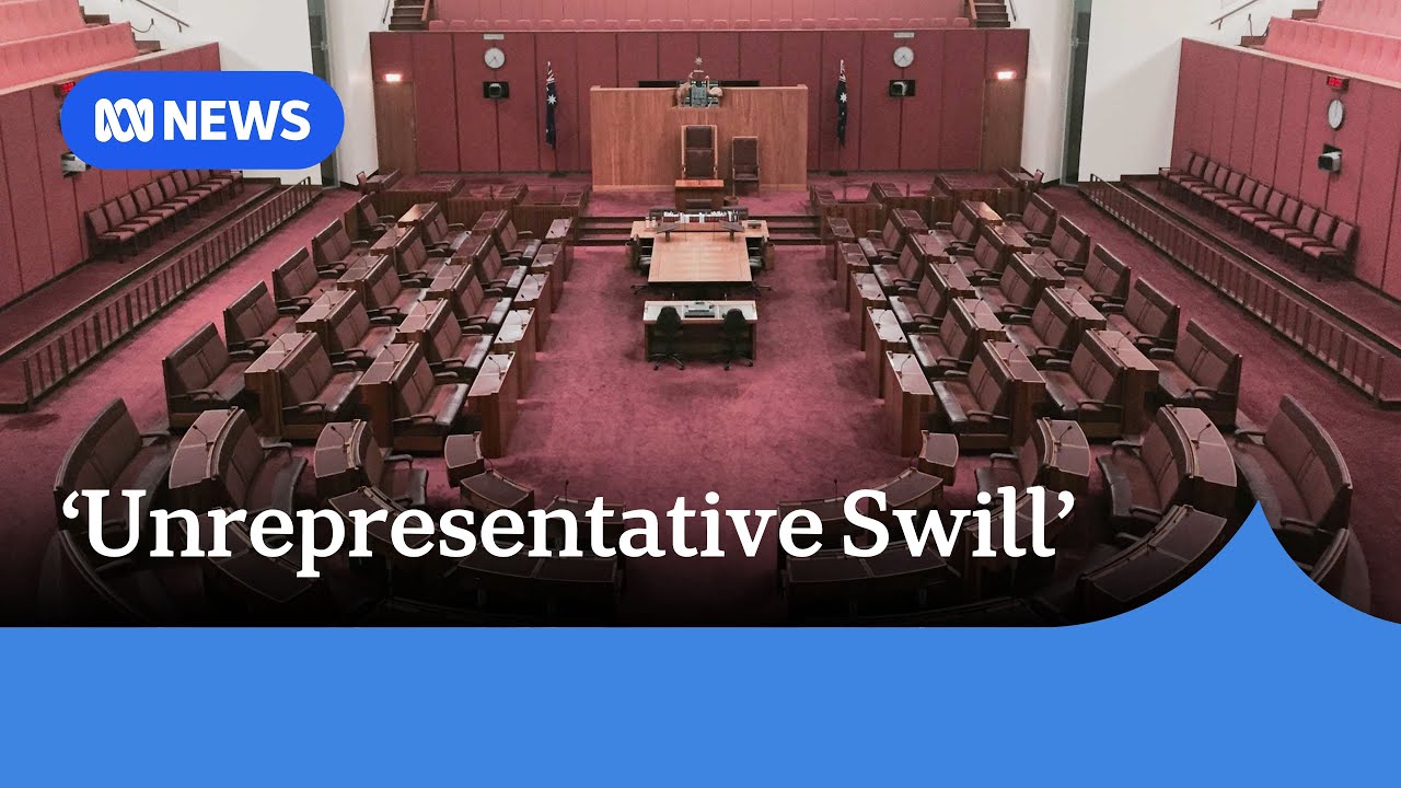 Queenslander to represent NSW senate seat in bizarre day of parliament | ABC NEWS