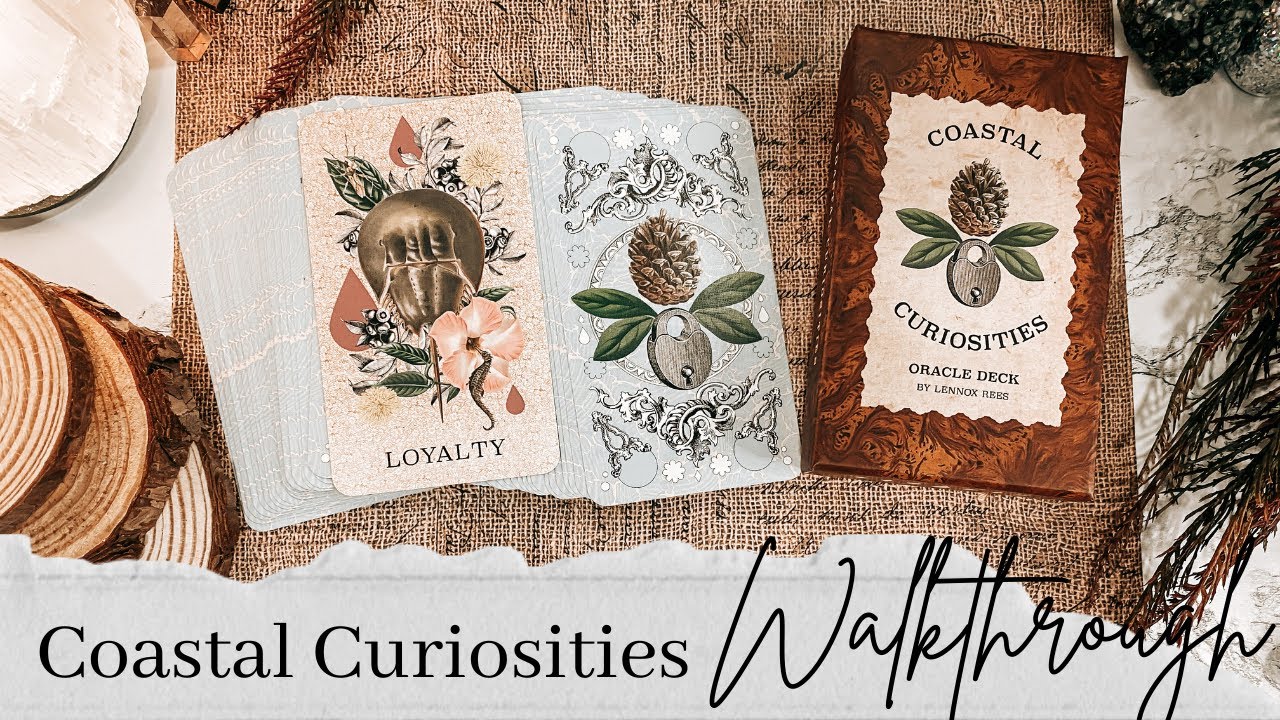 Coastal Curiosities for the win 🏆 | Walkthrough