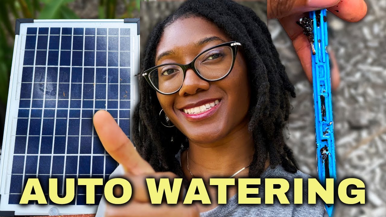 How I Water My Garden with NO Babysitting or Hoses? Solar Power!