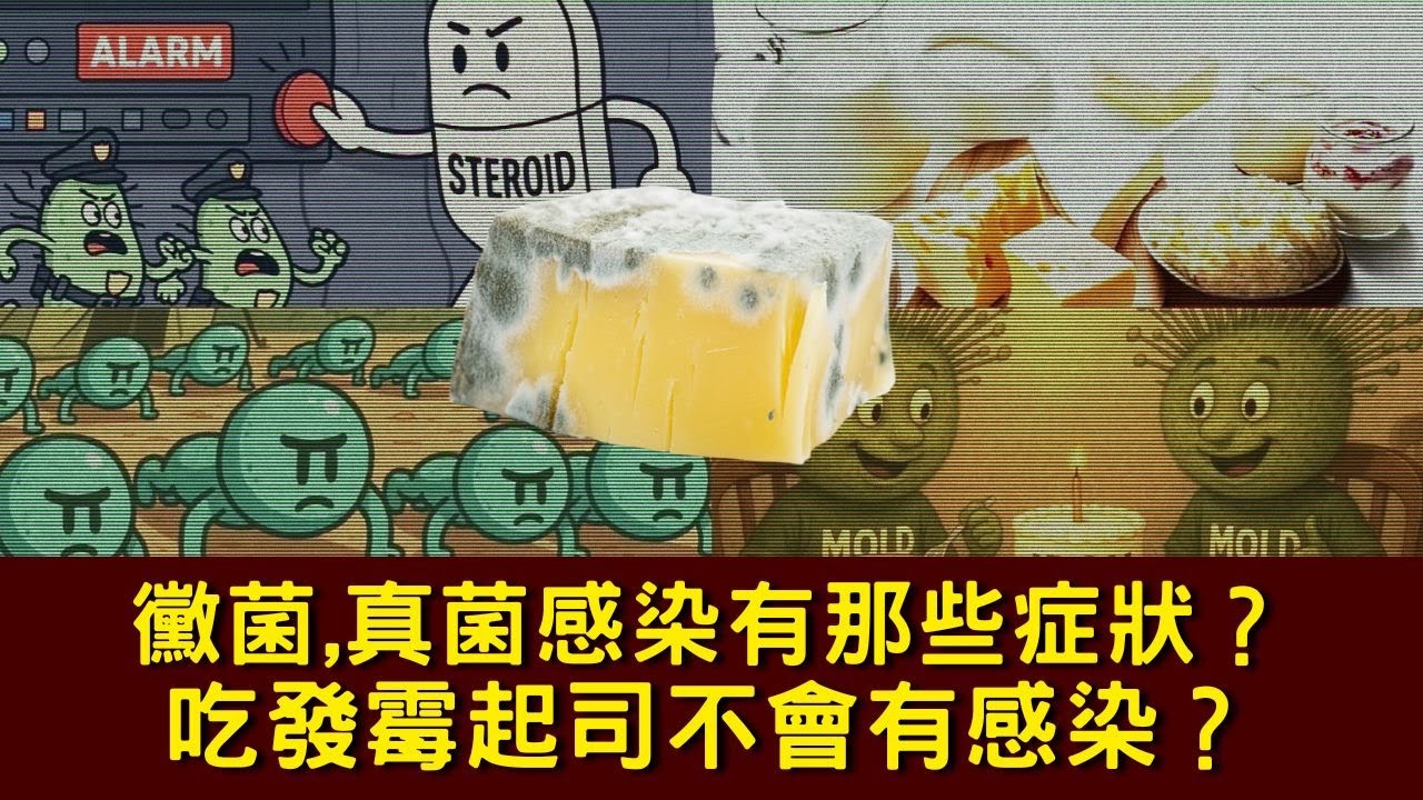 吃發霉食物有毒？黴菌真菌損害健康與解毒方法,自然療法,柏格醫生 Dr Berg