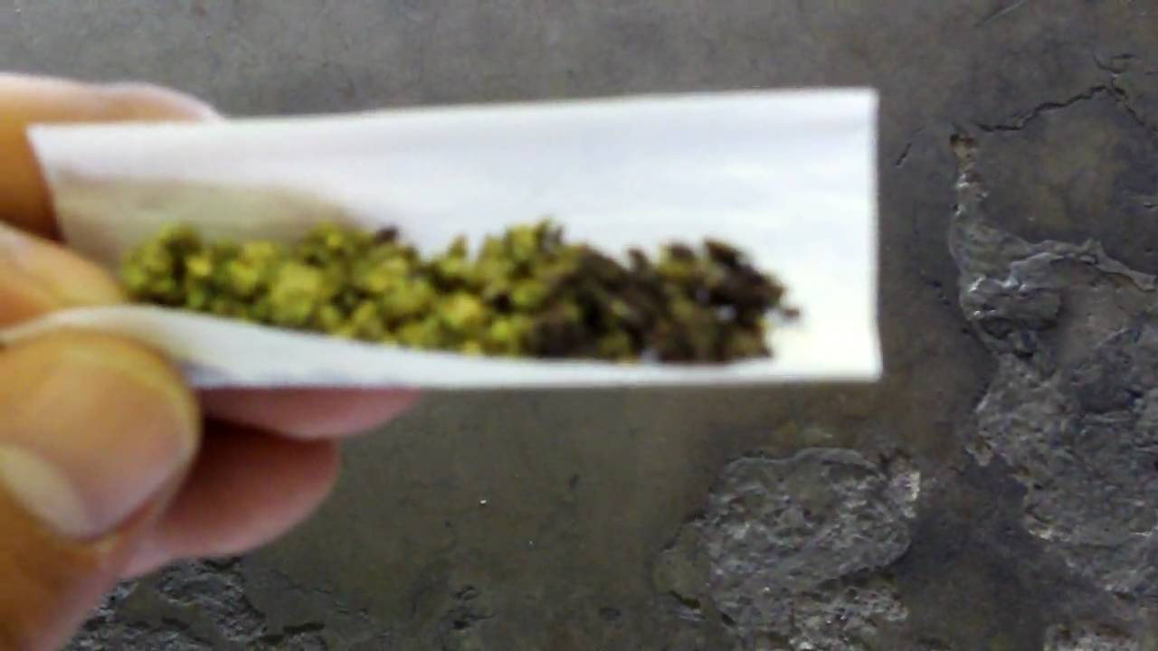 sativa mixed with indica = Hybrid