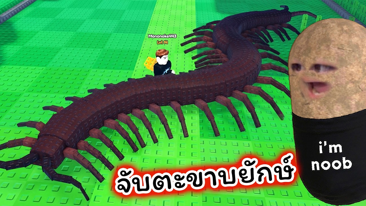 I caught a giant centipede in Roblox Catch A Bug.