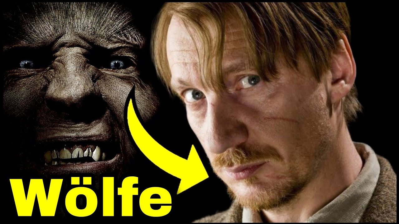 REMUS LUPIN's Opfer für die WERWÖLFE in HARRY POTTER🐺 Harry Potter Erklärt