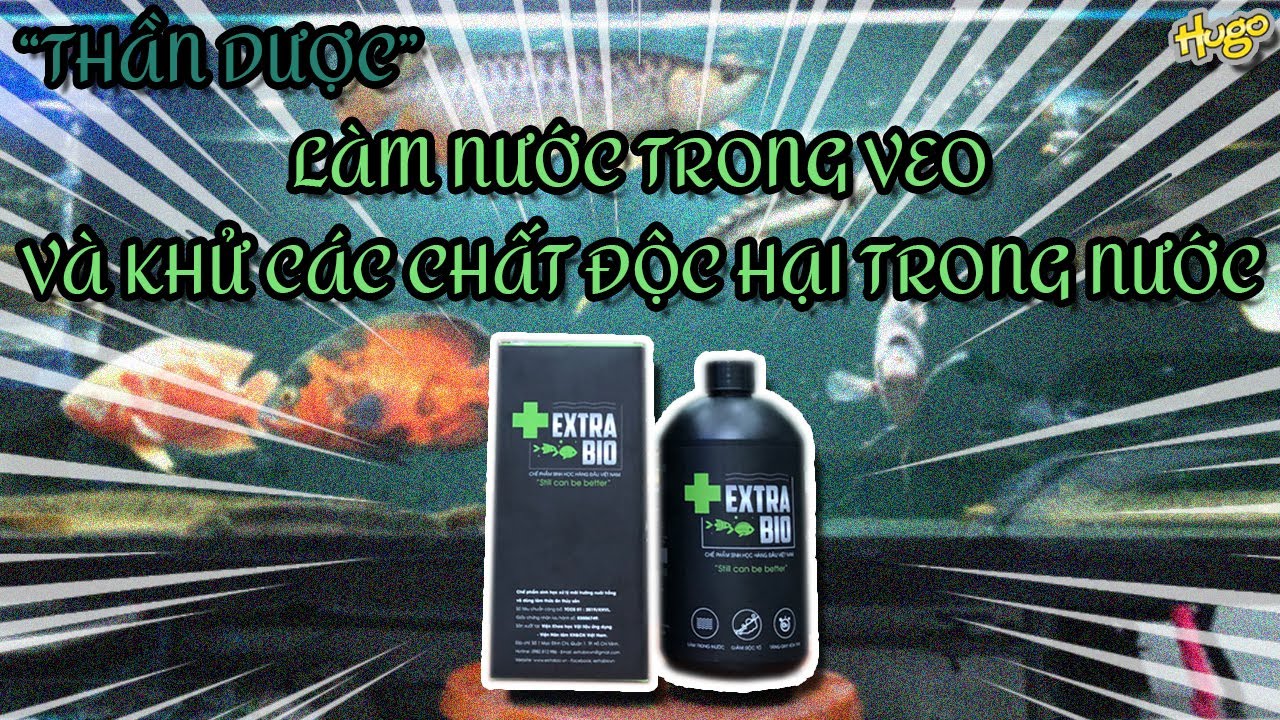 Vlog 021 - Nước trong kh&ocirc;ng cần cớ, cần ExtraBio cơ | The secret to keep aquarium water clear