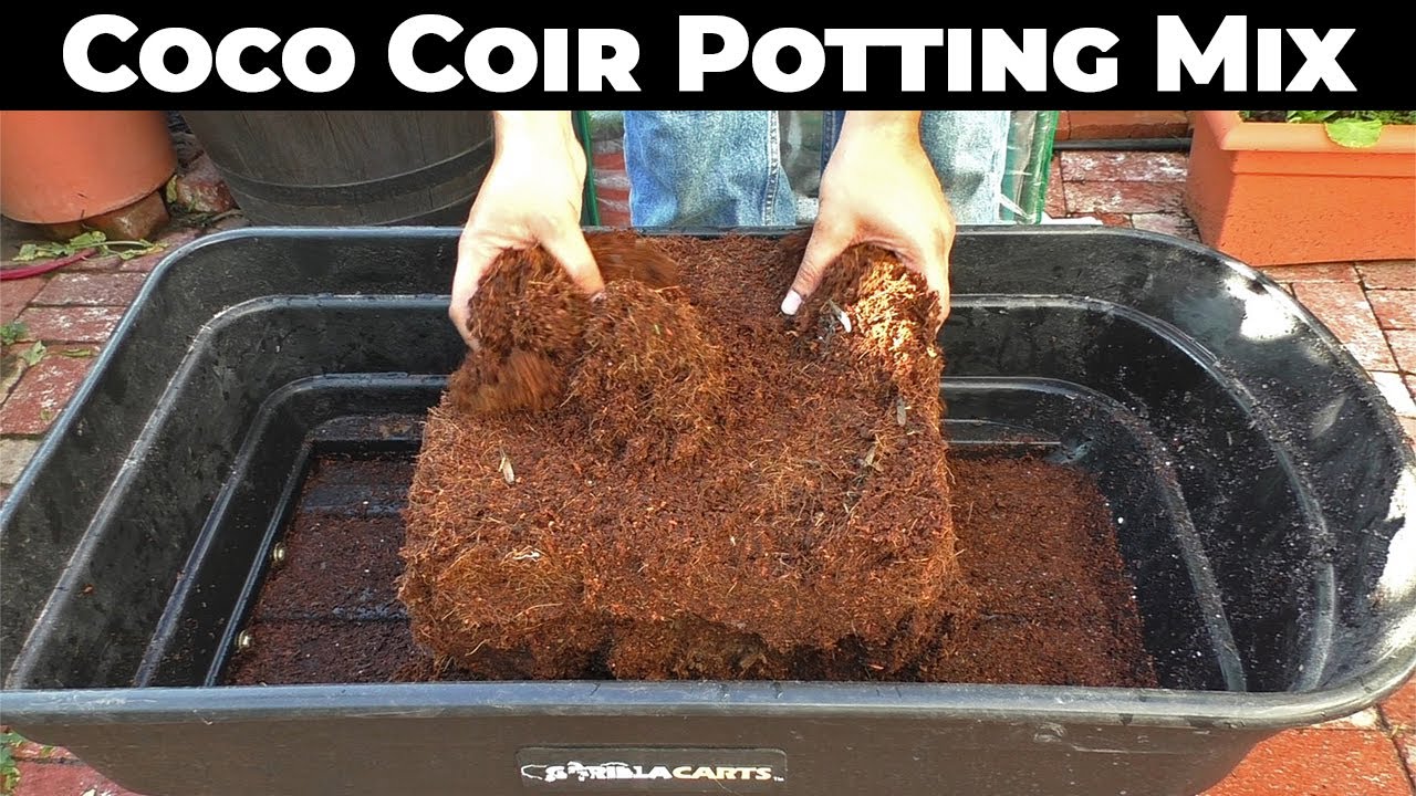 Coconut Coir Potting Mix Recipe - Coco Coir, Compost, Perlite or Vermiculite