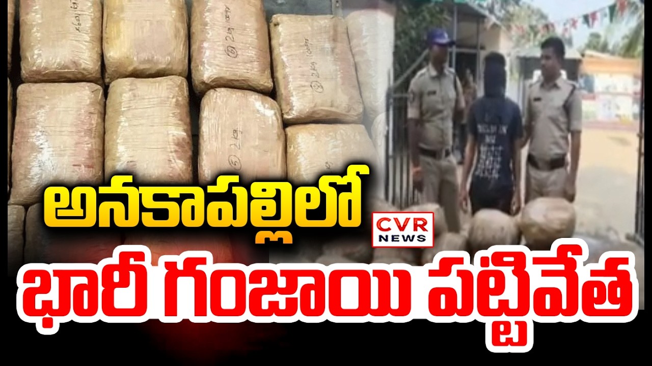 అనకాపల్లిలో భారీ గంజాయి పట్టివేత | 60 Kgs Of Ganja Seized In Anakapally,Thallapalem | CVR News