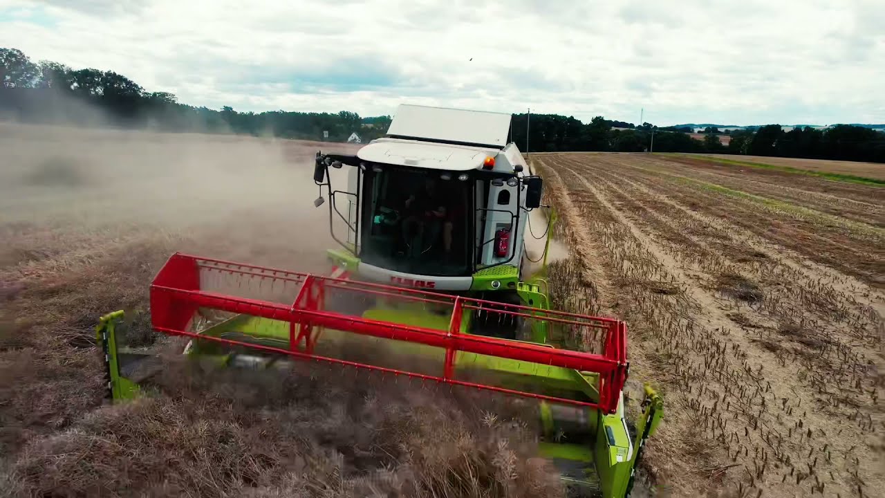 Raps dreschen Ernte 2021 mit dem Claas Tucano 430 Mähdrescher