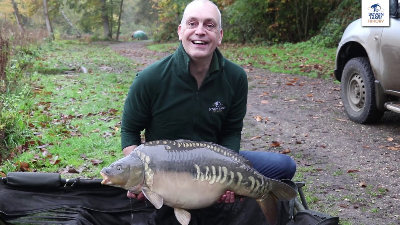 Stocking 30lb Mirror Carp Ollie into Lake 6 at Seven Lakes Fishery