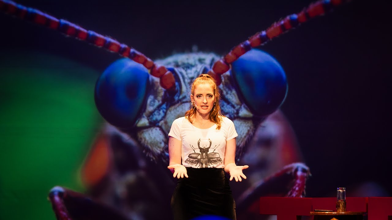 Saving Insects by Rethinking Plastic | Melian Dott | TEDxGeorge