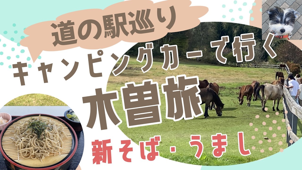 【車中泊旅】木曽・道の駅巡り　木曽馬の里で絶品・新そば　キャンピングカー