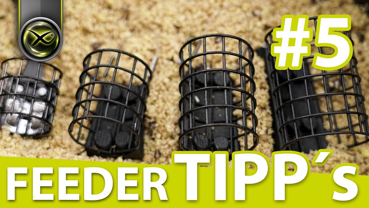 FEEDER TIPP's - #5 welcher Futterkorb?