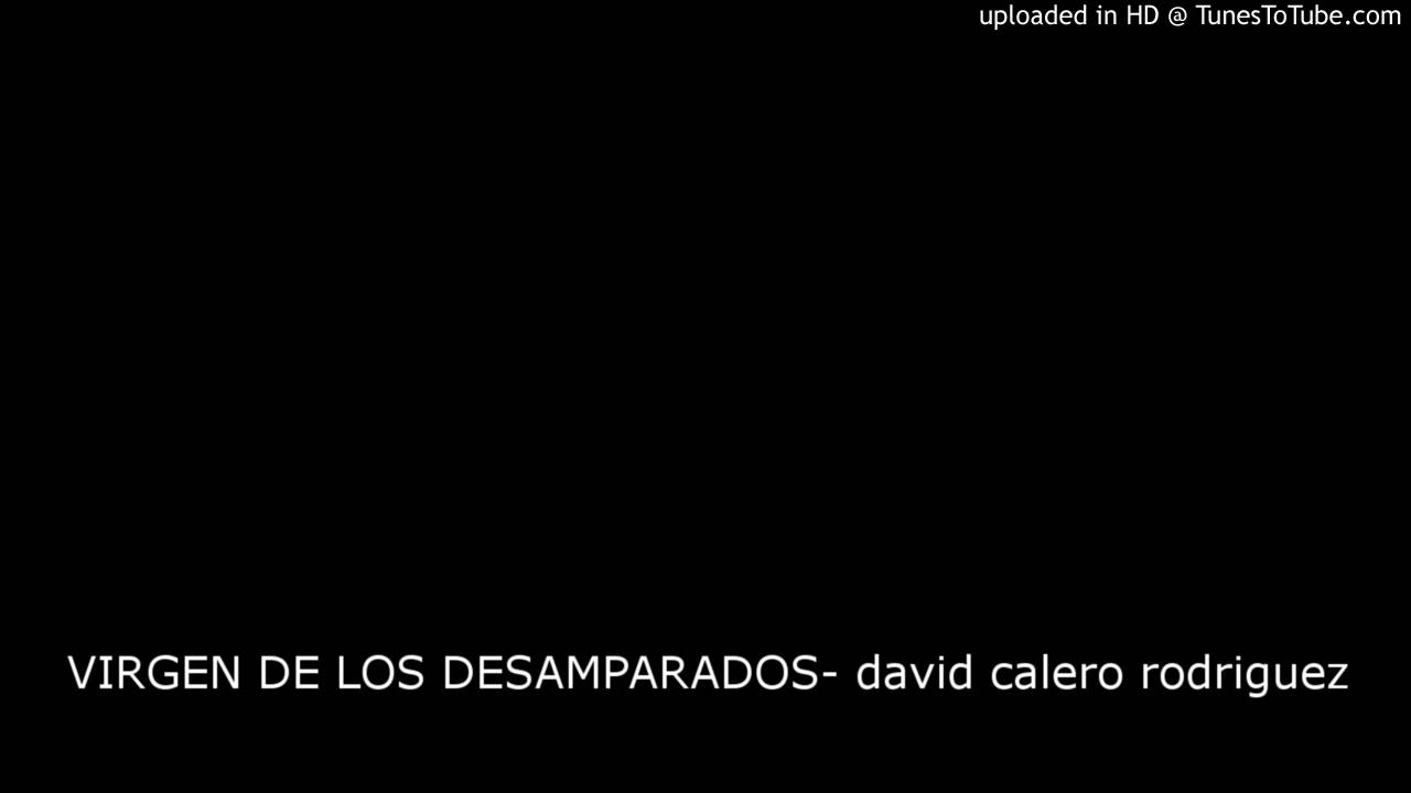 VIRGEN DE LOS DESAMPARADOS- david calero rodriguez