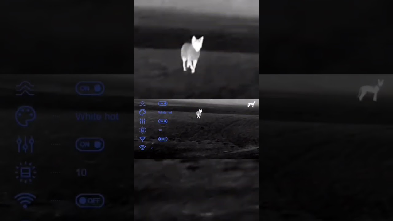 Pulsar Thermion 2 XG50 LRF coyote hunting