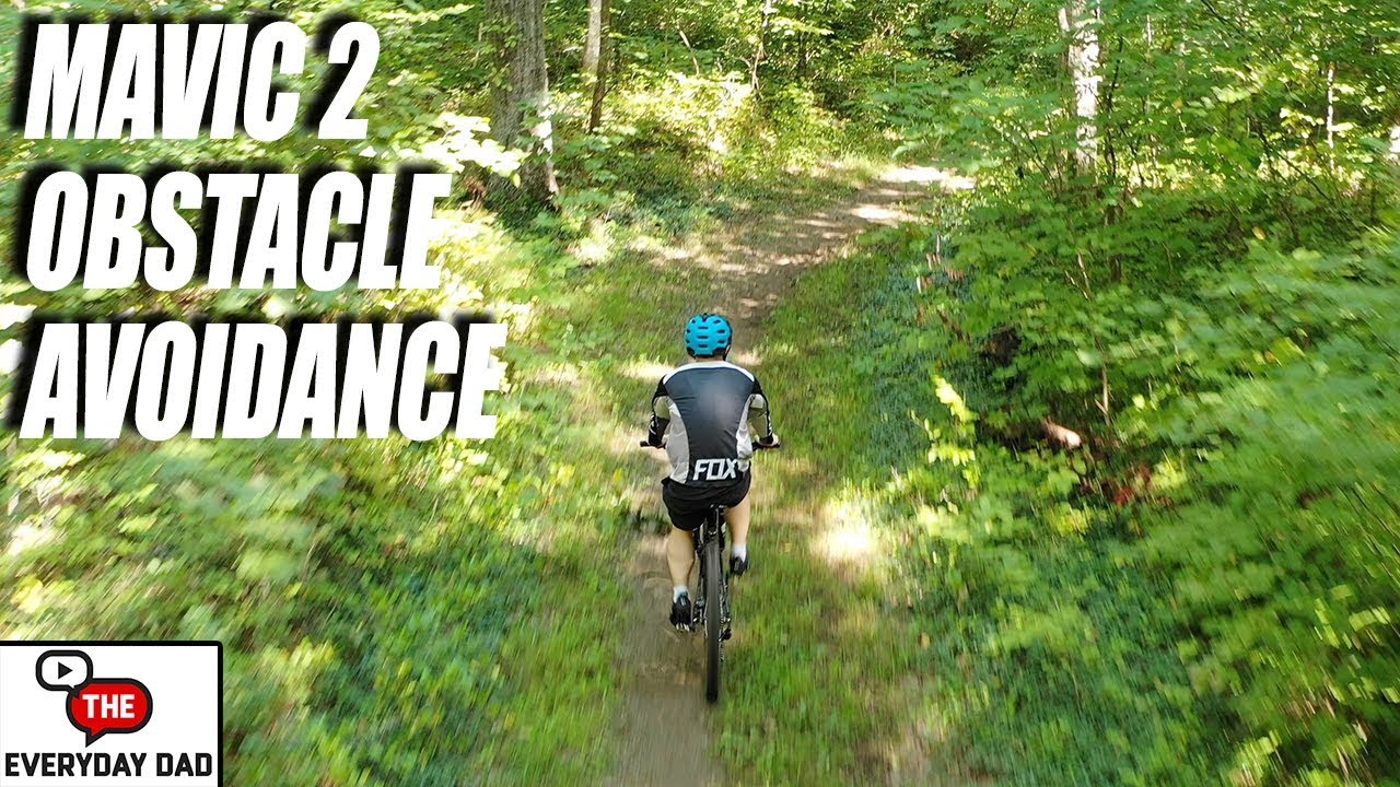 DJI Mavic 2 Pro Obstacle Avoidance Test!  Can it DODGE A TREE?!