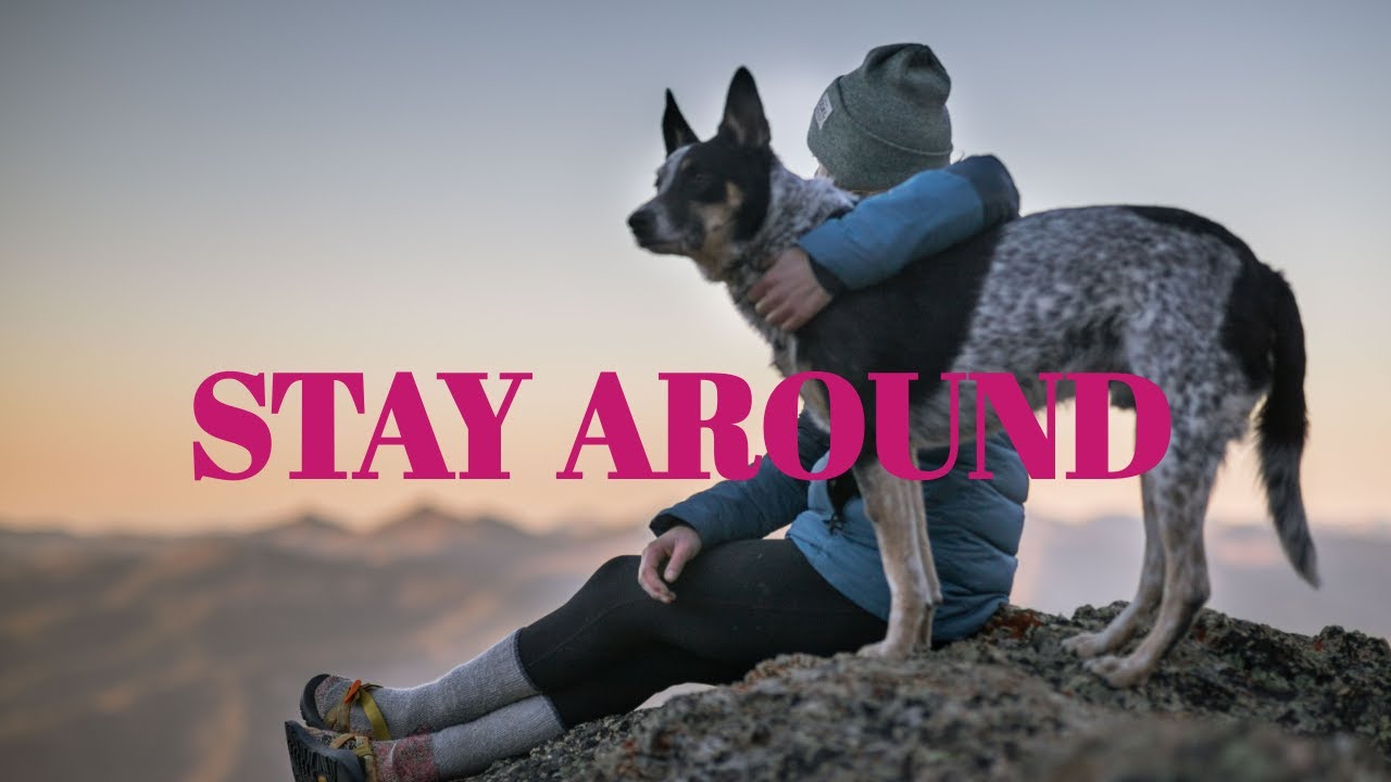 Stay Around - Mike Floss