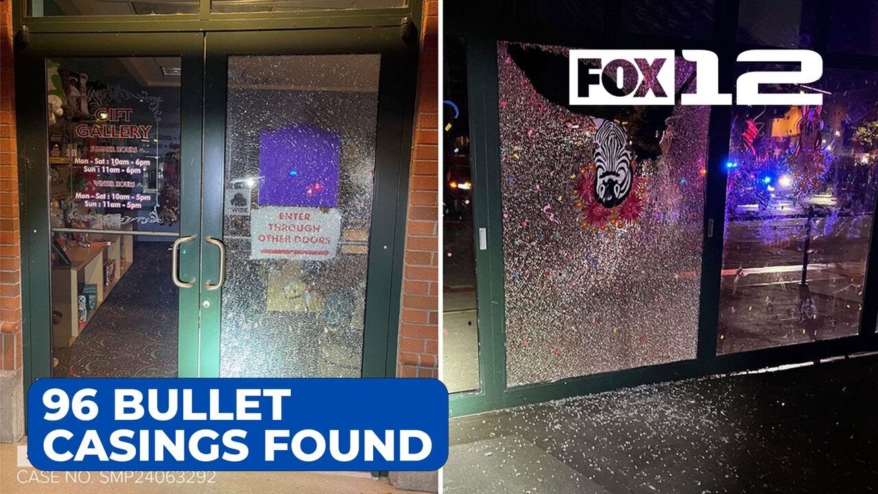 Police: 96 bullet casings found after shooting at Salem park