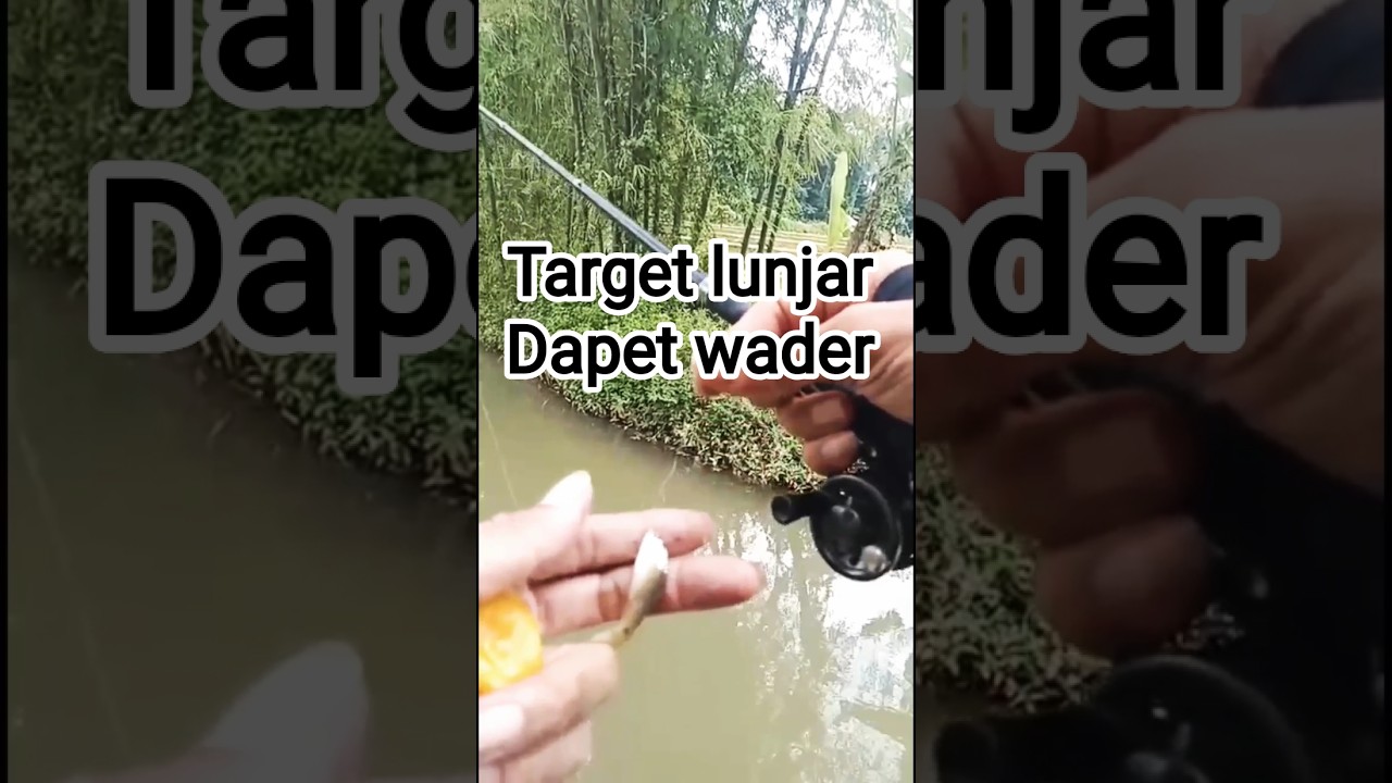 Target lunjar dapet wader 