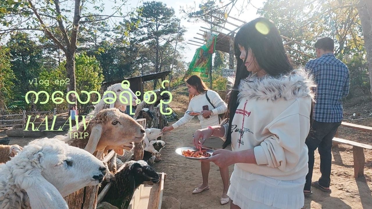 ကလောခရီးစဥ် ( ဗျိုက်တောင် - လိမ္မော်ခြံ - မြင်းမထိဂူ -အဖေ့သိုးခြံ ........)