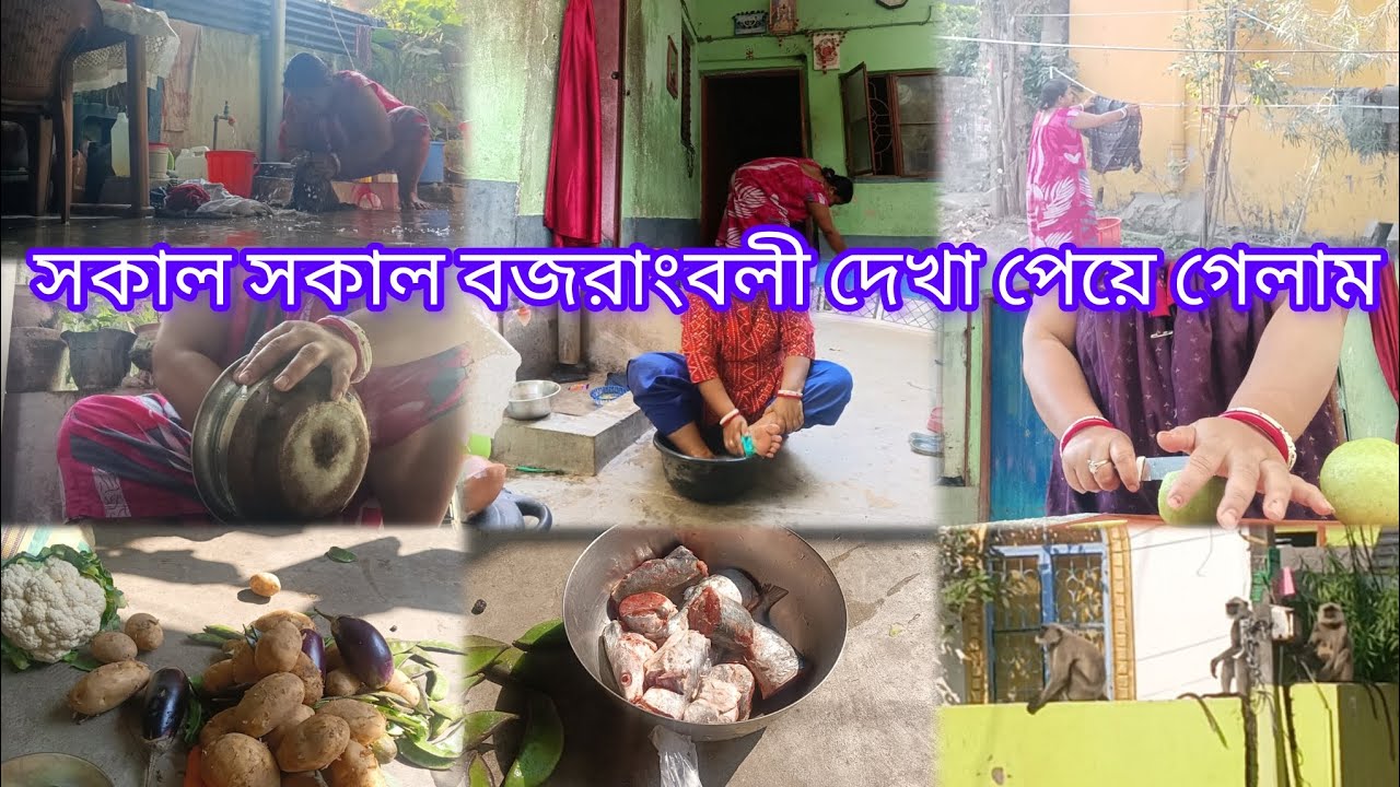 🌿🌹কাজ করার টেকনিক জানা থাকলে অল্প সময়ের মধ্যে সব কাজ করে ফেলা য়ায় #housewifelife#dailyvideoblog #