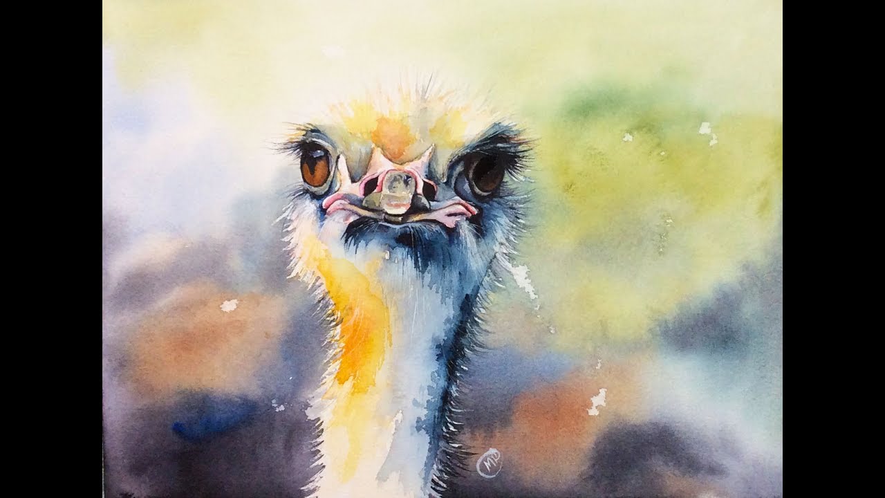 Watercolor Ostrich Painting Demonstration