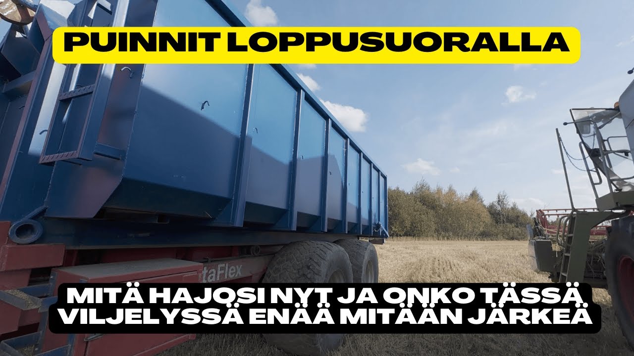 Puinnit loppusuoralla