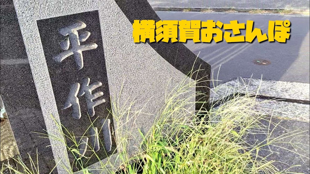 629  横須賀おさんぽ　100キロトレ No.9