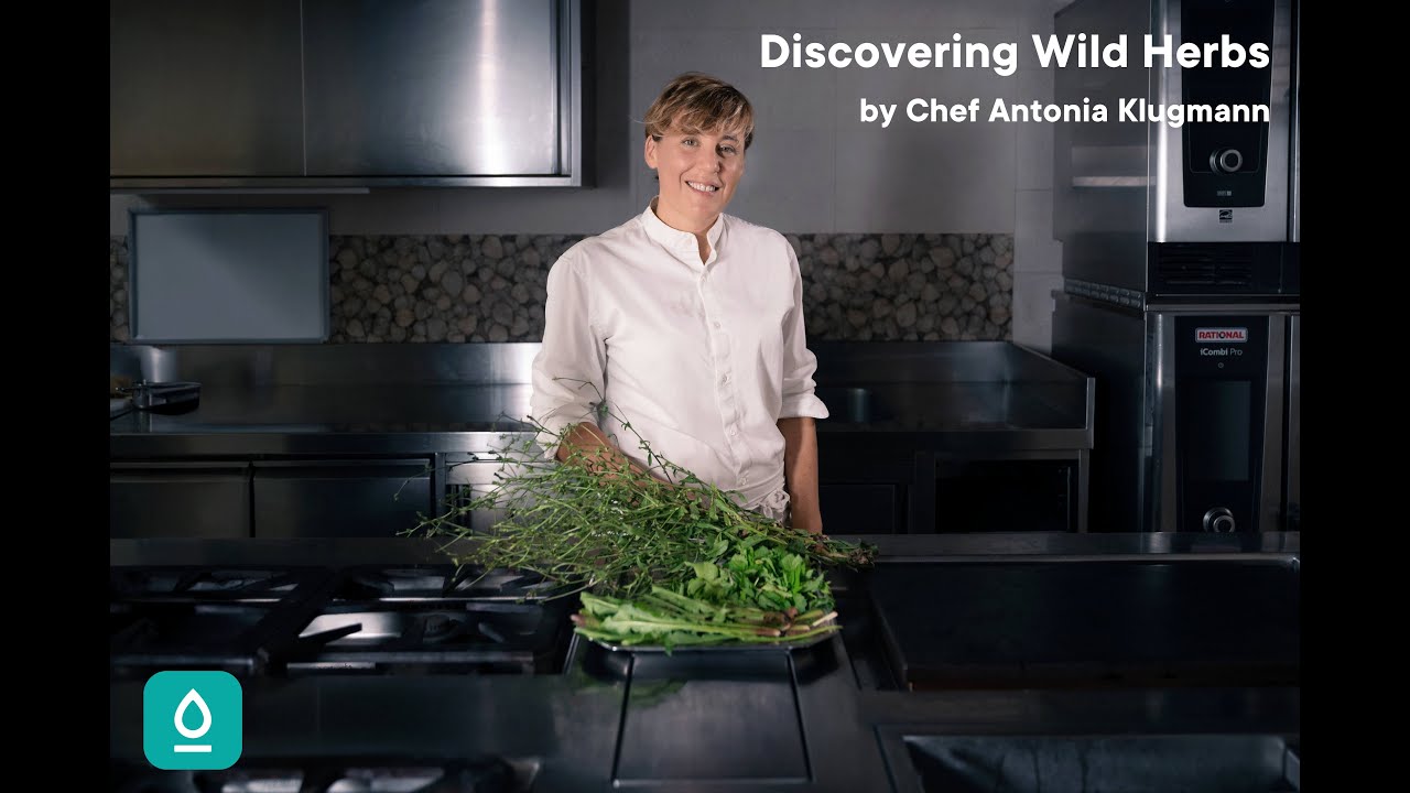 Discovering Wild Herbs: 6 Creative Recipes by Chef Antonia Klugmann