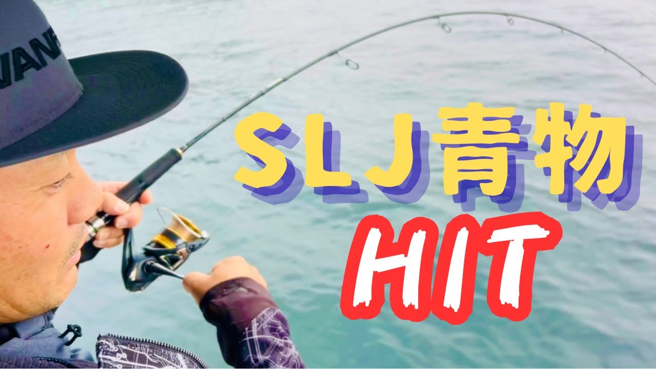 【ジギング】気を抜いた時にこそガツンとくる！【SLJ・青物】
