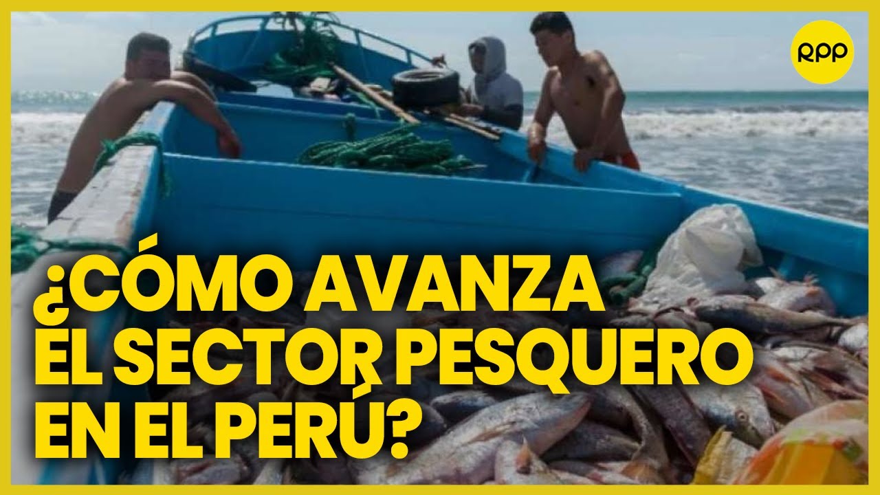 Ministro de la Producción da un análisis sobre el sector pesquero durante el gobierno de Boluarte