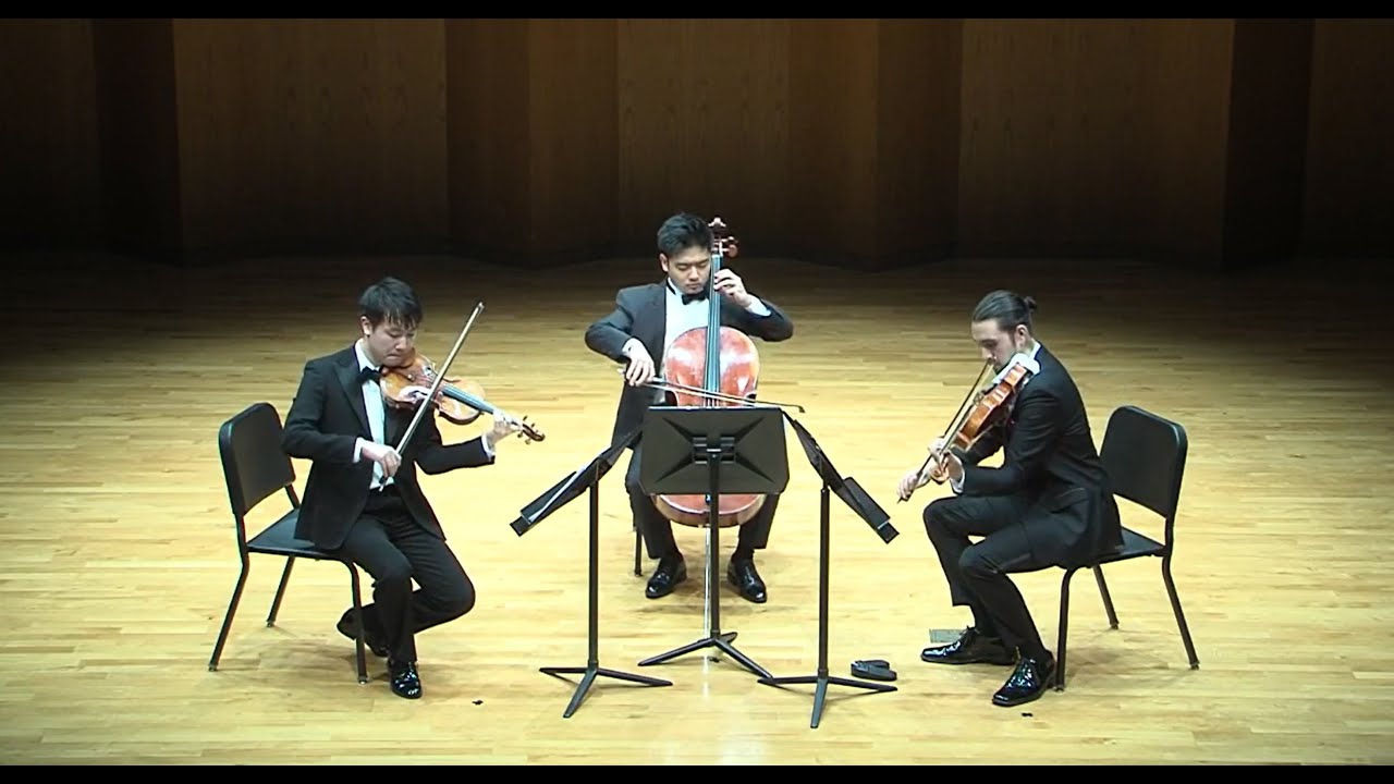 J. S. Bach - Goldberg Variations BWV 988(Arr. D. Sitkovetsky)