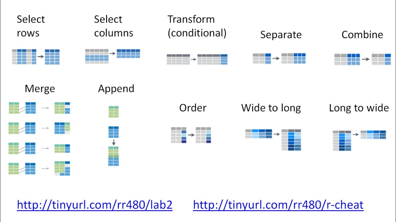 3.2. Tips for Data Table and Experimental Layout (rr480, layouts)
