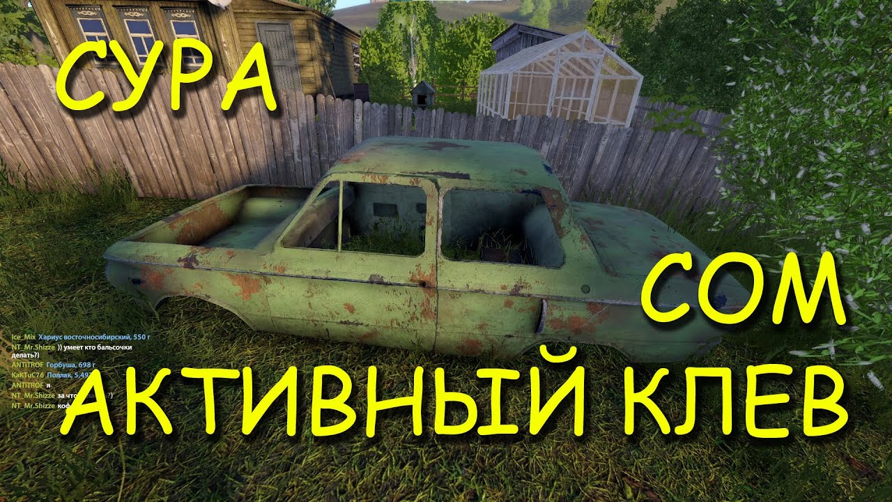 Русская рыбалка 4. рр4. Сура. Сом. Активный клев.