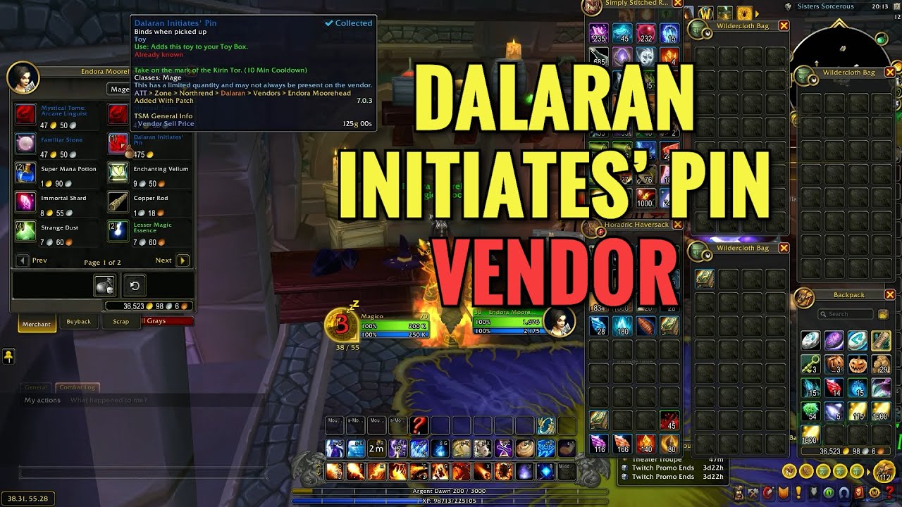 Dalaran Initiates' Pin Vendor Location (WoW Retail)