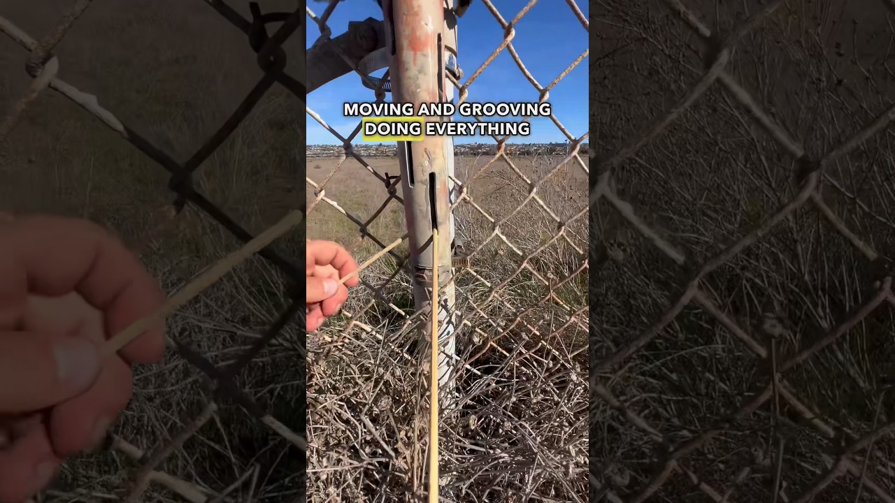 Would you go through this much effort to find a hidden geocache? Chopsticks NOT included! 🥢