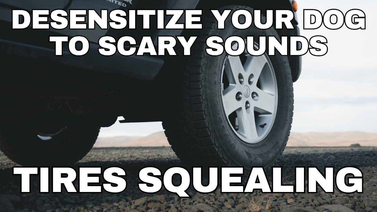 Dog Desensitization Sounds for Dogs & Puppies: Tires Squealing
