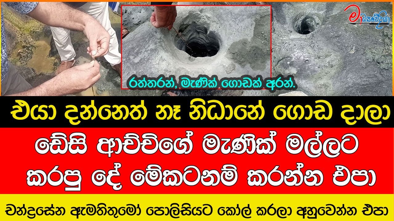 කලා වැවේ, වැව් බැම්මේ නිධානය බලන්න නාමල් ගිය වීඩියෝවක් එළියට - Exclusive