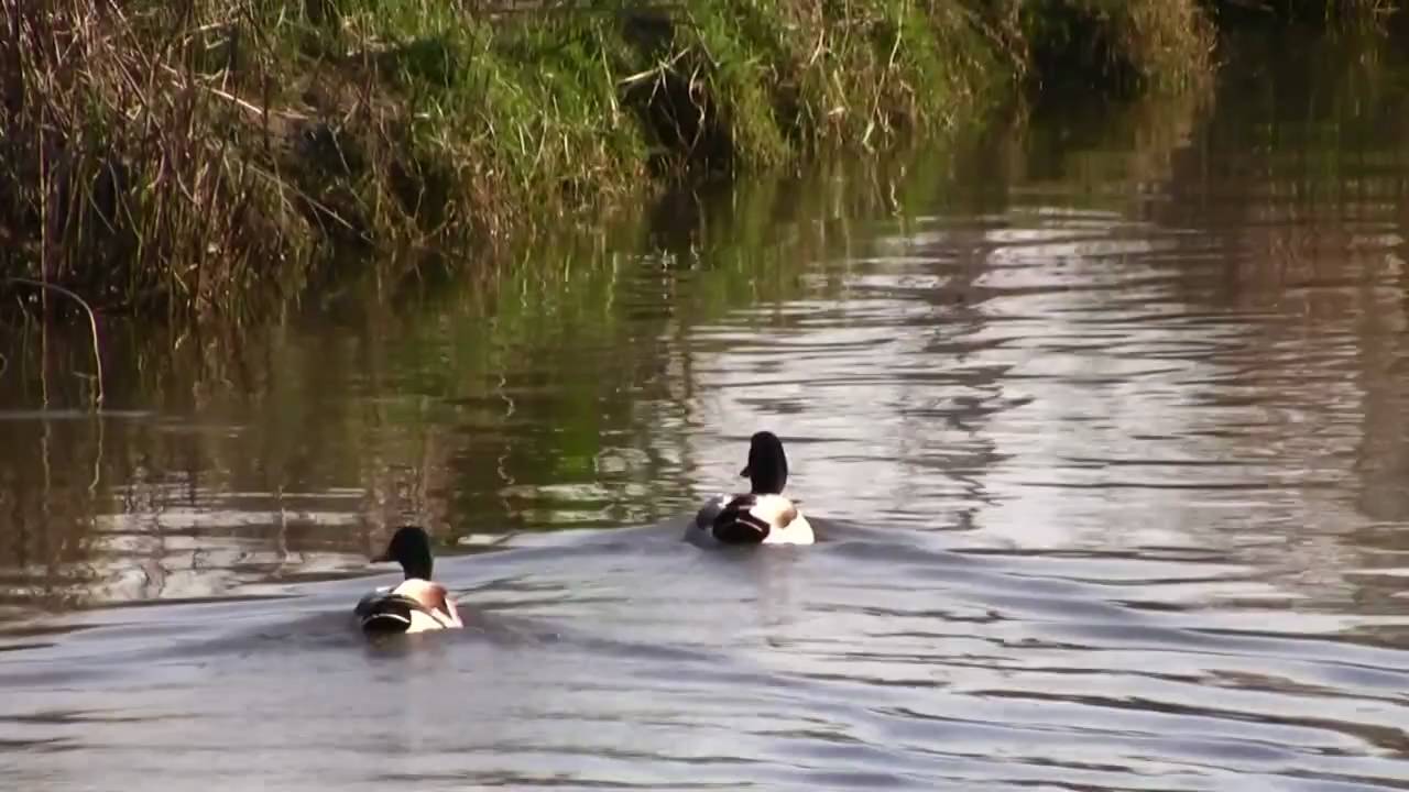 Río Muiños en Playa America-www.valminor.tv