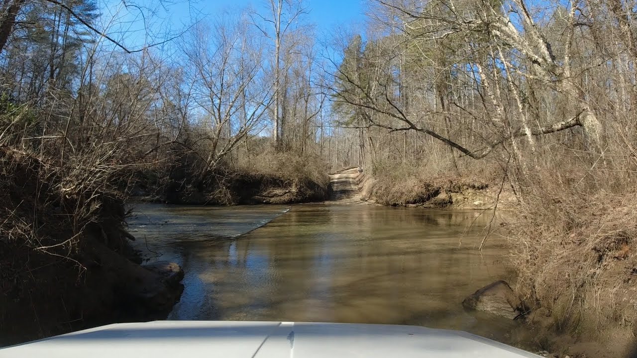Dawson Forest WMA City Of Atlanta Tract Sunday February 13th 2022  #Dawson Forest