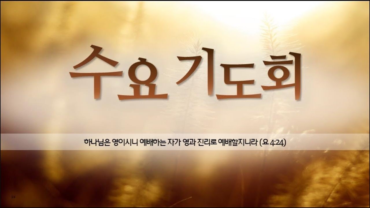 대전충신교회 2026년 2월 4일 수요기도회