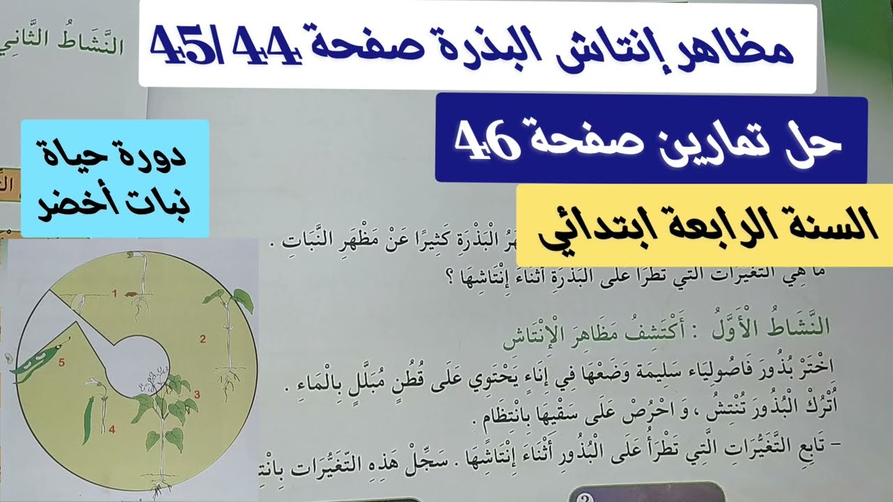 درس مظاهر إنتاش البذرة صفحة 44 و 45 خل تمارين صفحة 46 تربية علمية للسنة الرابعة ابتدائي