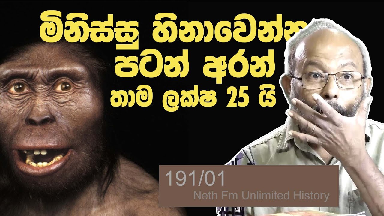 සතුට පරිනාමය වු හැටි | The Evolution of Happiness | Neth fm Unlimited History 191  - 01