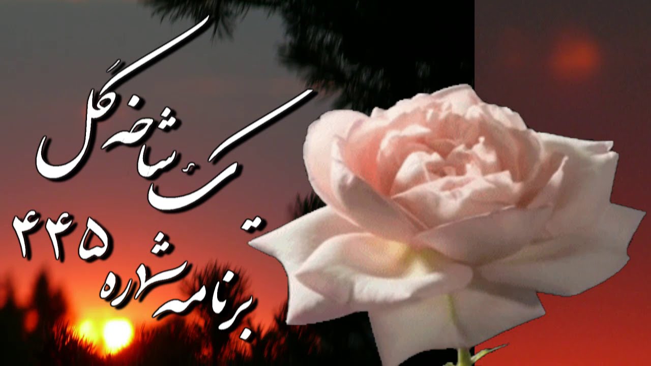 جمال وفايي « شاخه گل ۴۴۵ » ♥ دستگاه همايون ♥ آواز کلاسيک ايراني ؛