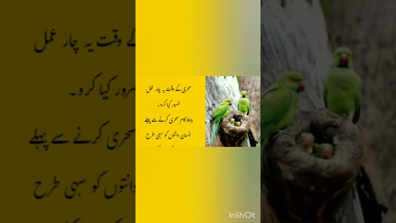 Sehri ky 4 Amal | full video on my chnnal #loveforislam #religion #ramadan #motivation
