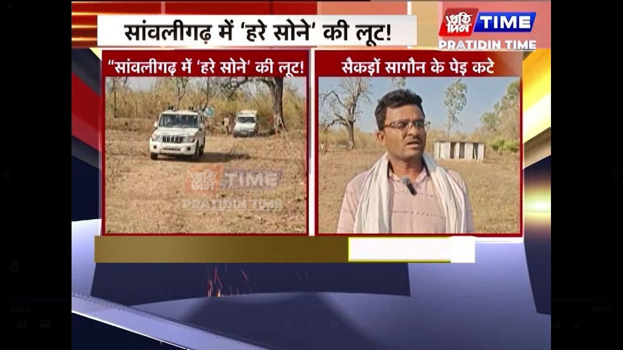 “सांवलीगढ़ में ‘हरे सोने’ की लूट!