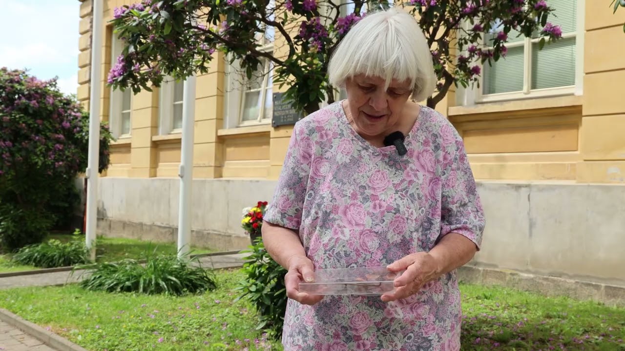 Hrádecká zastavení 8/2022