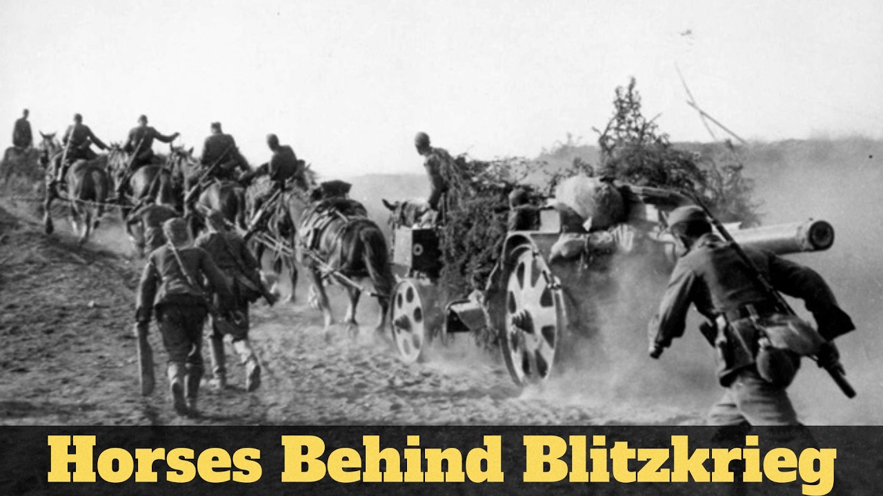 Roads, Horses, and Trucks: The Hidden Logistics of the Wehrmacht | WW2