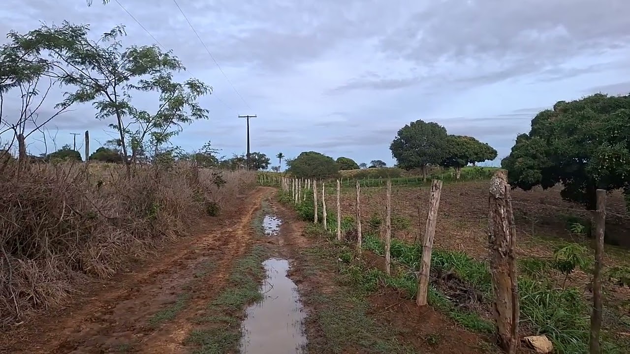 Lindo amanhecer no nordeste baiana 